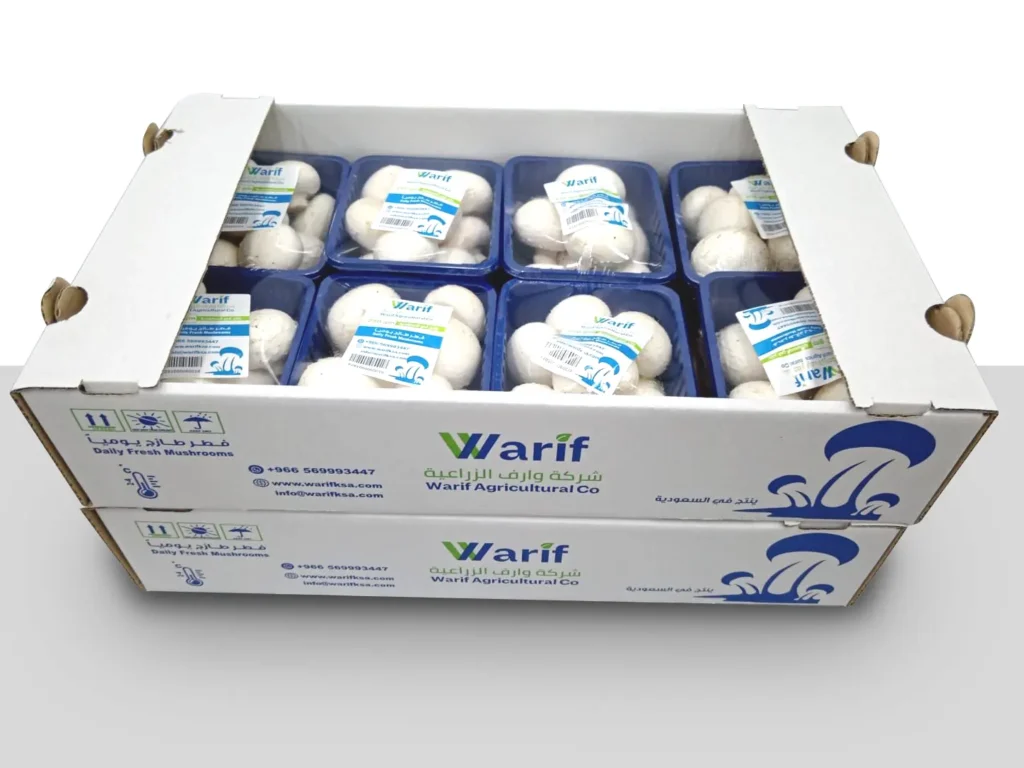 خدمات التسويق والتوزيع