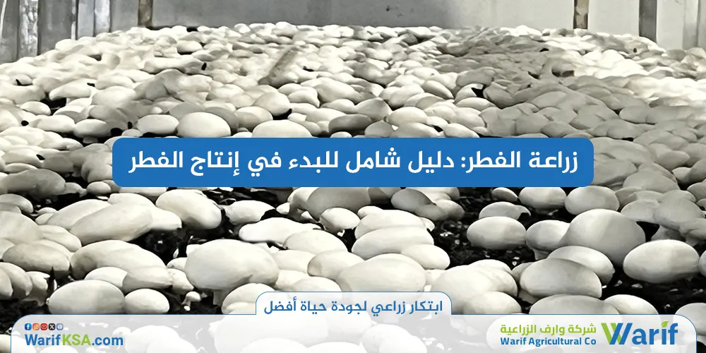 زراعة الفطر - دليل شامل للبدء في إنتاج الفطر