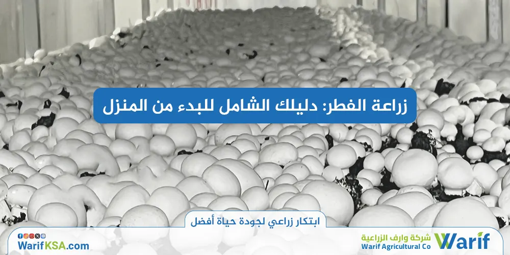 زراعة الفطر: دليلك الشامل للبدء من المنزل