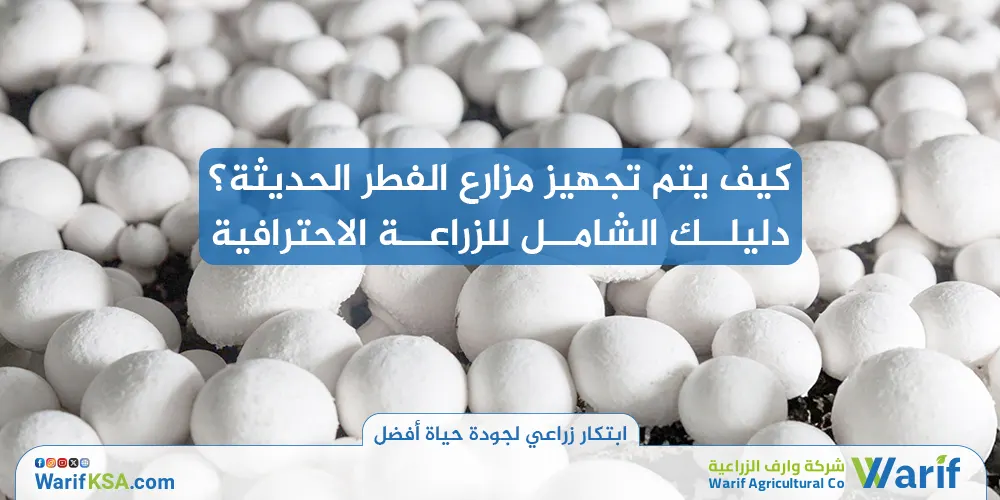 كيف يتم تجهيز مزارع الفطر الحديثة؟ دليلك الشامل للزراعة الاحترافية