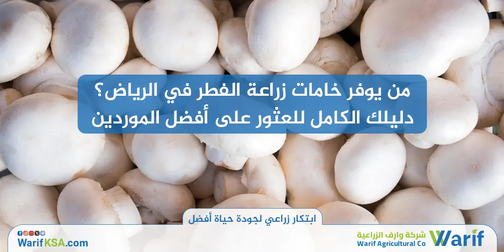 من يوفر خامات زراعة الفطر في الرياض؟ دليلك الكامل للعثور على أفضل الموردين