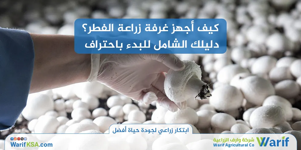 كيف أجهز غرفة زراعة الفطر؟ دليلك الشامل للبدء باحتراف