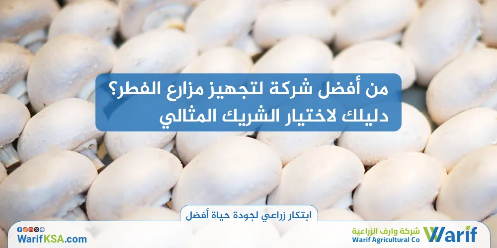 من أفضل شركة لتجهيز مزارع الفطر؟