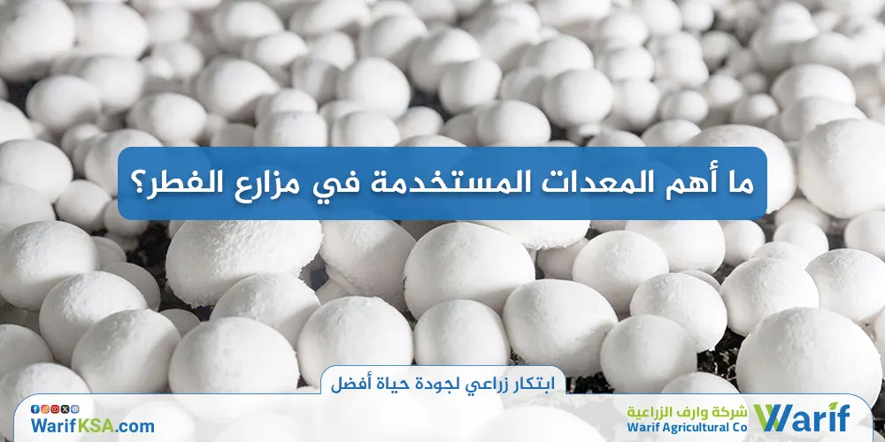 ما أهم المعدات المستخدمة في مزارع الفطر؟