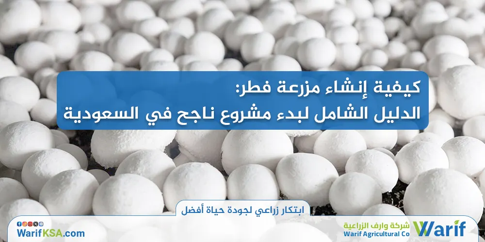 كيفية إنشاء مزرعة فطر: الدليل الشامل لبدء مشروع ناجح في السعودية