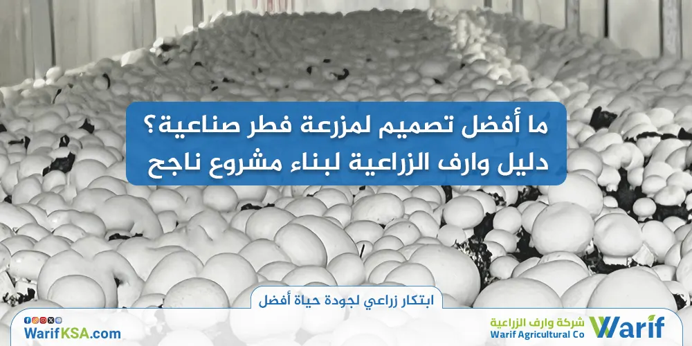 ما أفضل تصميم لمزرعة فطر صناعية؟ دليل وارف الزراعية لبناء مشروع ناجح