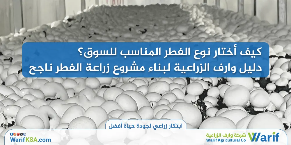 كيف أختار نوع الفطر المناسب للسوق؟ دليل وارف الزراعية لبناء مشروع زراعة الفطر ناجح