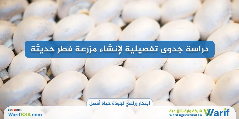 دراسة جدوى تفصيلية لإنشاء مزرعة فطر حديثة