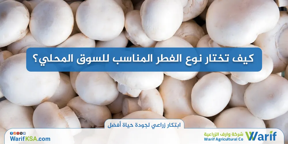 كيف تختار نوع الفطر المناسب للسوق المحلي؟