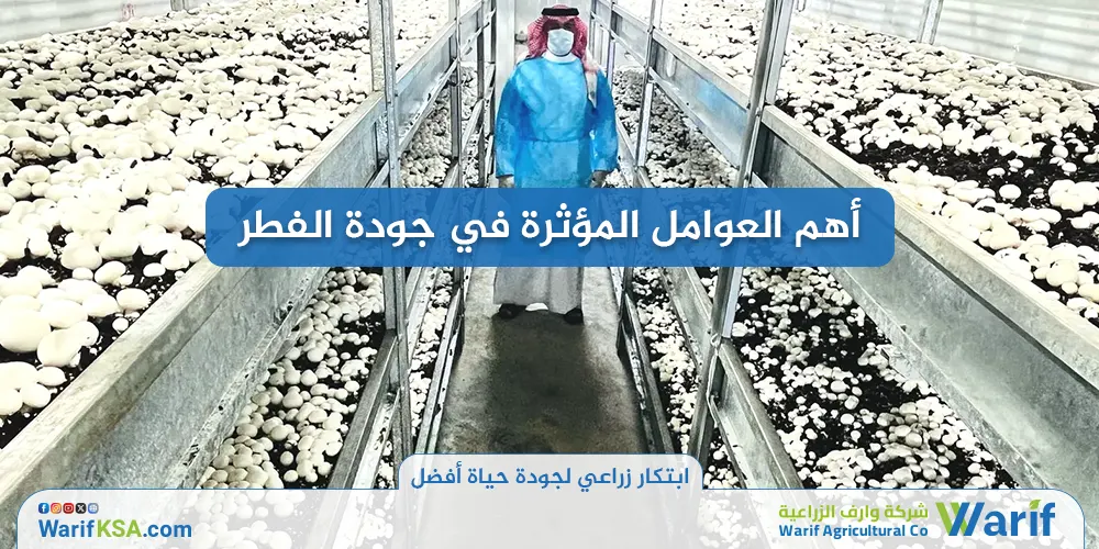 أهم العوامل المؤثرة في جودة الفطر